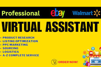 skyrocket ebay sales expert VA, ebay virtual assistant