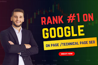 do expert onpage SEO and technical optimization for your wordpress website