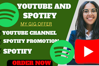 promote spotify, USA spotify music promotion, market youtube video spotify album
