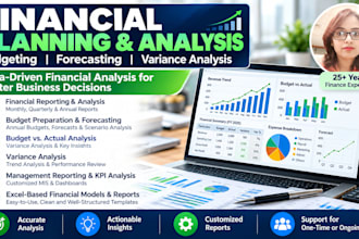 provide financial reporting budgeting and forecasting