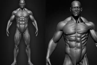3d character model, 3d head, action figure, 3d face, 3d bust for 3d printing