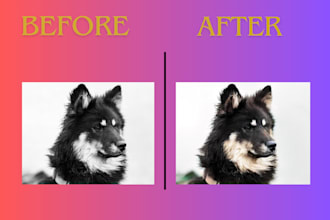 repair, enhance, and colorize your black and white photos