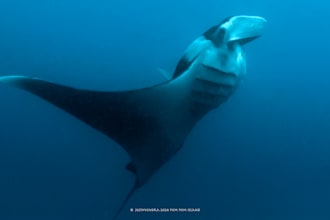 edit underwater videos and photos