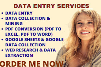 meticulously do data entry work, PDF to word or excel