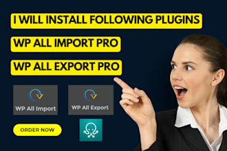 install wp all import pro, wp all export pro with lifetime updates
