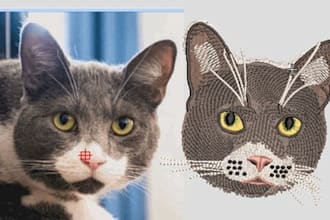 do embroidery digitizing design or logo into dst,pes,jef,exp files asap