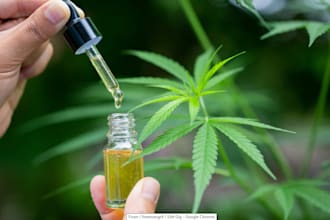 promote your cbd, marijuana, cannabis to get sales, cbd telegram