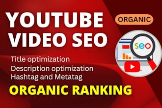 best youtube video SEO expert and channel growth manager, organic growth
