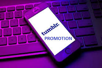 professionally reblog your tumblr to increase organic followers