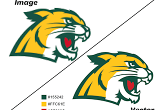 do tracing, redrawing your lowres logo or cartoons into vectors
