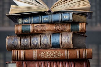 beta read your manuscript and write a detailed report for adult novels