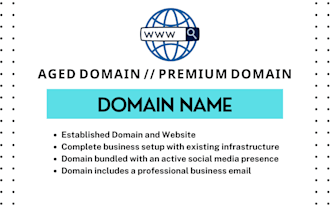 provide premium aged and active domain names