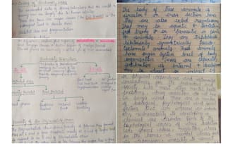 gracefully handwrite any documents study notes assignments and letters for you