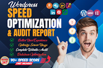 do wordpress speed optimization, speed up wordpress website