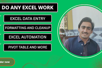 do data entry, pivot tables, cleanup, automation and more