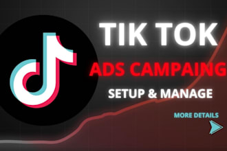 run tik tok ads, tik tok ads manager, and tiktok marketing