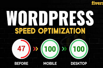 speed up wordpress website and do performance optimization
