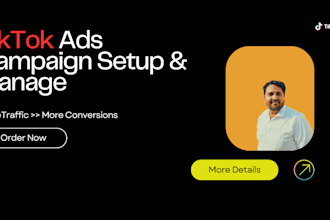 create and manage tiktok ads campaign, tiktok advertising