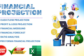 do pro level financial projection forecast and cashflow