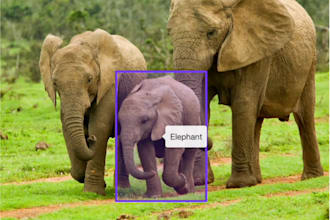 tag, annotate and label your images to bring ai to life