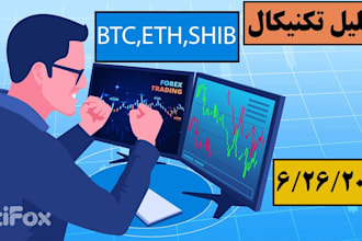 build forex trading website, secure crypto investment website, forex broker, mt4