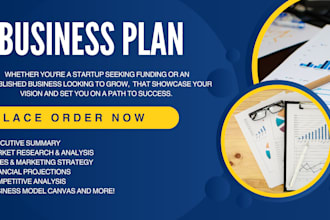 write a detailed business plan, proposal, business plan writer, grants