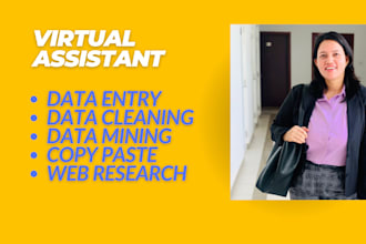 data entry, data cleaning, scraping ,pdf to word and deliver in same day