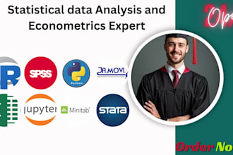analyze statistical and econometric data using r and spss