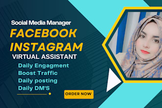 be your instagram and facebook virtual assistant