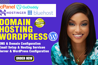 configure, transfer fix dns and email hosting for domain and wordpress