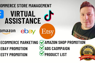 be your virtual assistant on ecommerce stores ebay esty amazon shopify promotion