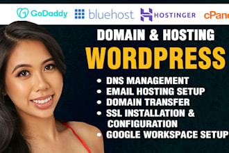 resolve dns issues, migrate domains, set up business email, and manage hosting
