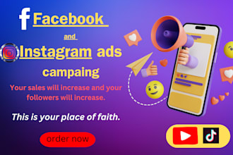 oversee a fb ads campaign and manage a fb ads campaign