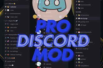 expert discord server moderation support