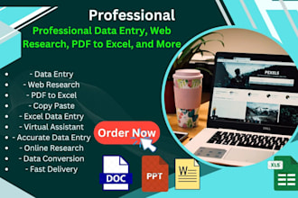 efficient data entry, web research, copy pasting, excel data management and PDF