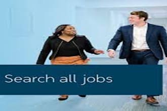 expertly search and apply remote job applications or find online jobs for you