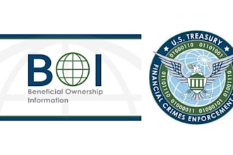 file boir report of your US entity with fincen