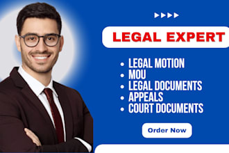 draft professional motions, legal memos, appeals, and mous