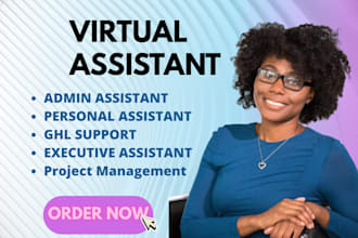 be your personal admin executive virtual assistant data entry social media ghl