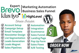 set up expert klaviyo brevo gohighlevel and auto sales funnel for your business