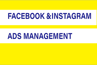 facebook instagram meta ads campaign manager