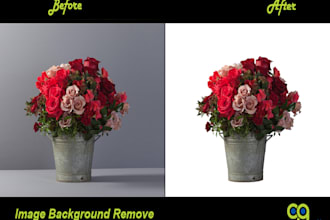 do image background remove