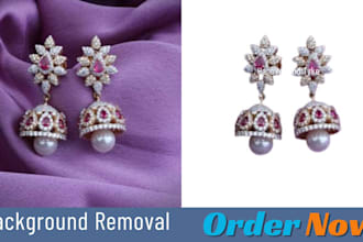 all kinds of data entry, virtual assistance  background removal etc
