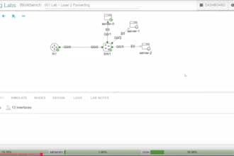 be your expert network engineer with free cisco lab demo included