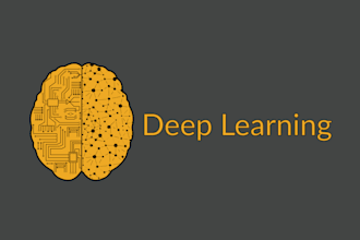 do neural networks and deep learning projects in python and r