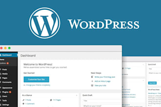 design redesign wordpress website, niche or brand website