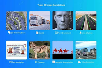 provide data annotation, image labeling, bounding box, and segmentation services