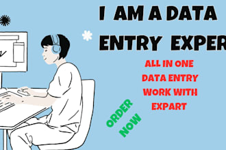 do data entry  specialist