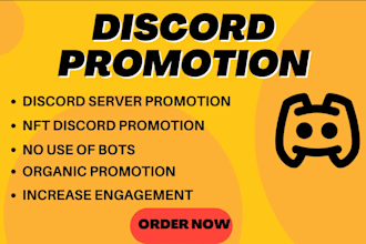 do perfect discord server promotion, management, moderation
