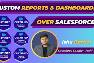 create custom reports and dashboards over salesforce